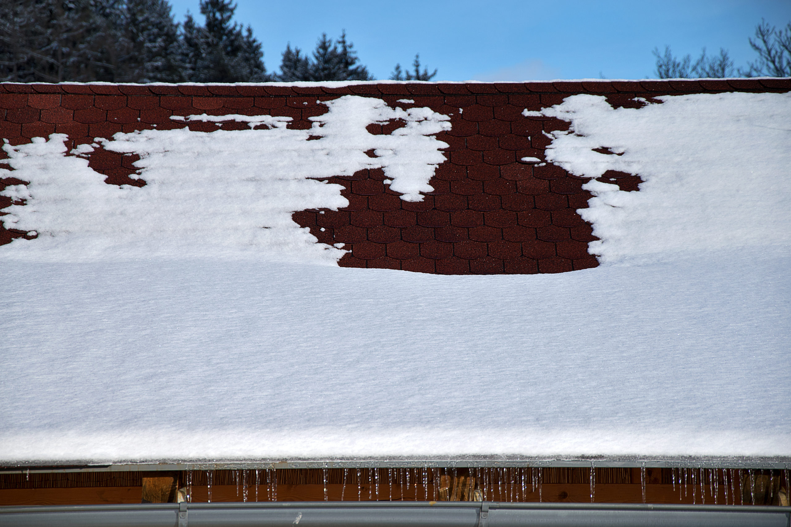 Roof with asphalt shingles covered with snow and icicles.