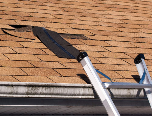 Does Your Roof Have Blisters, Wrinkles, or Ridges?