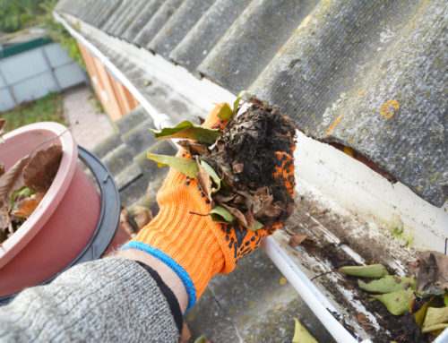 Are You Maintaining Your Gutters Properly?